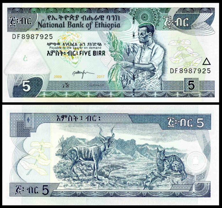 Ethiopia 5 Birr UNC Banknote